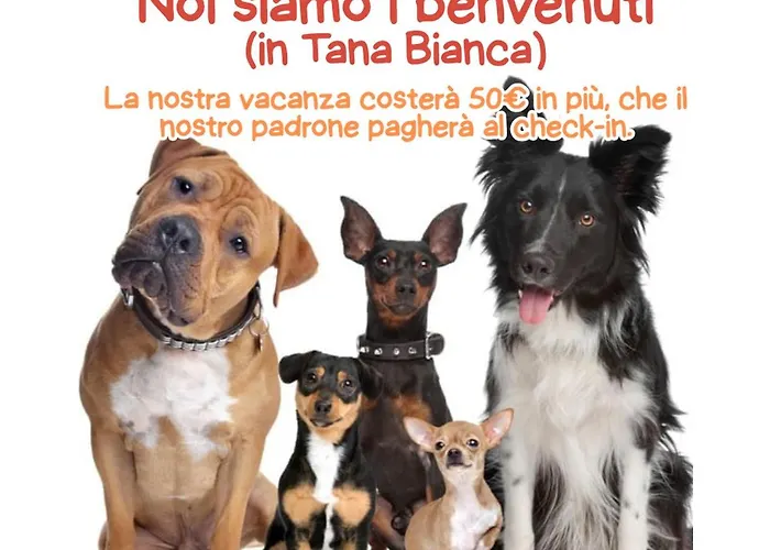 公寓 Ca' Del - La Casa Del Topo *